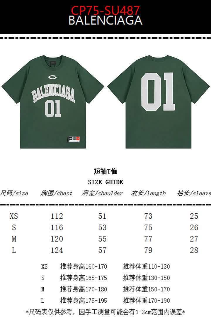 Clothing-Balenciaga ID: SU487 $: 75USD