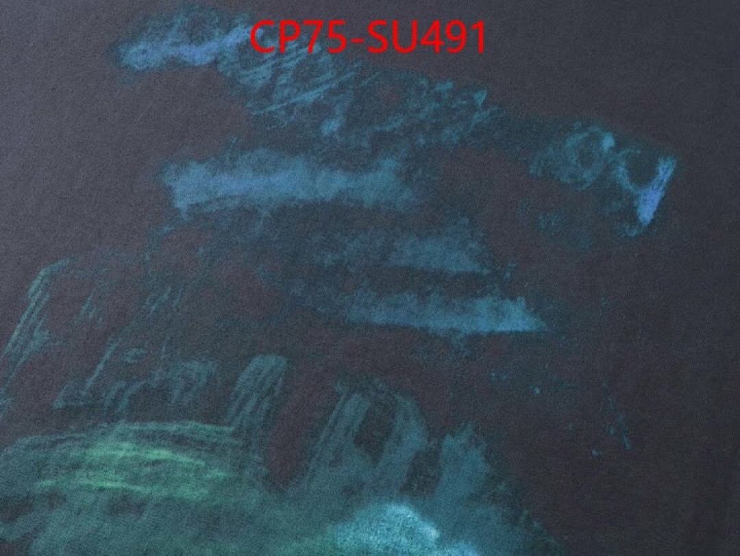 Clothing-Balenciaga ID: SU491 $: 75USD