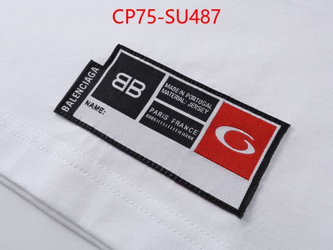 Clothing-Balenciaga ID: SU487 $: 75USD