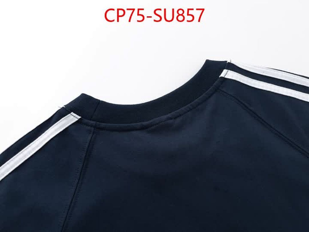 Clothing-Balenciaga ID: SU857 $: 75USD