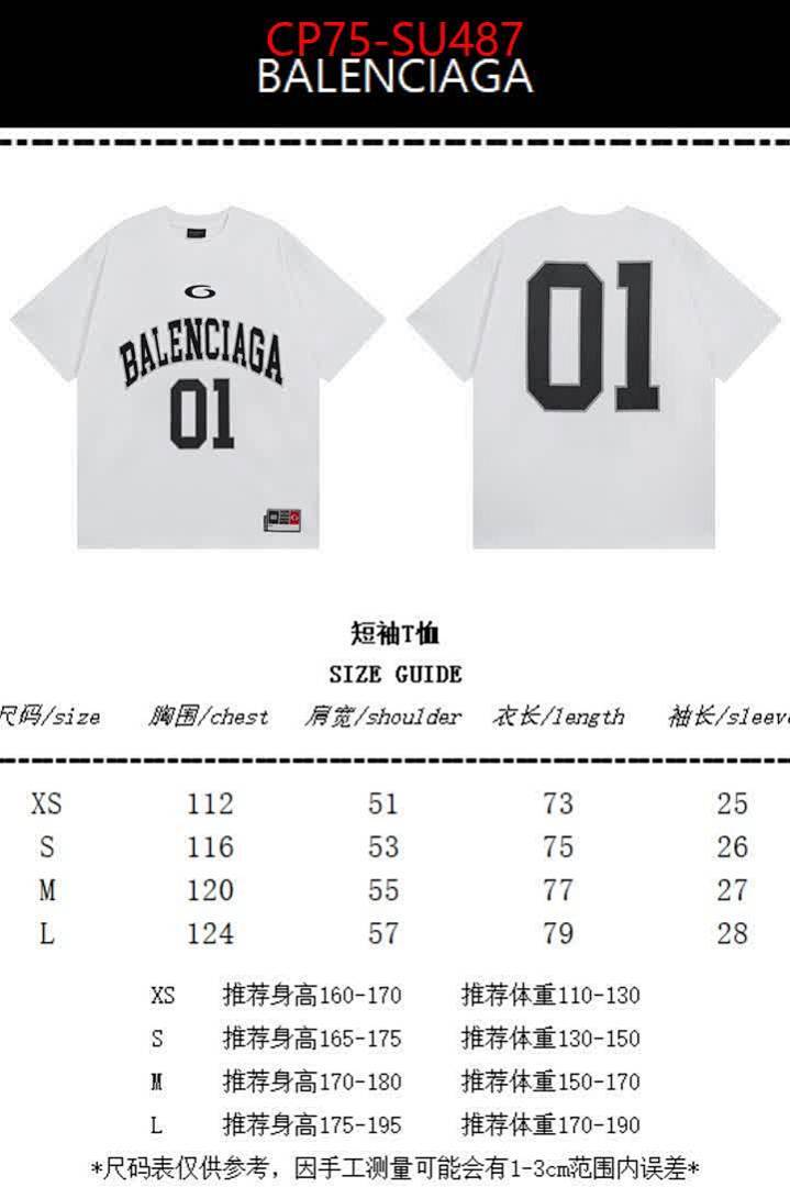 Clothing-Balenciaga ID: SU487 $: 75USD