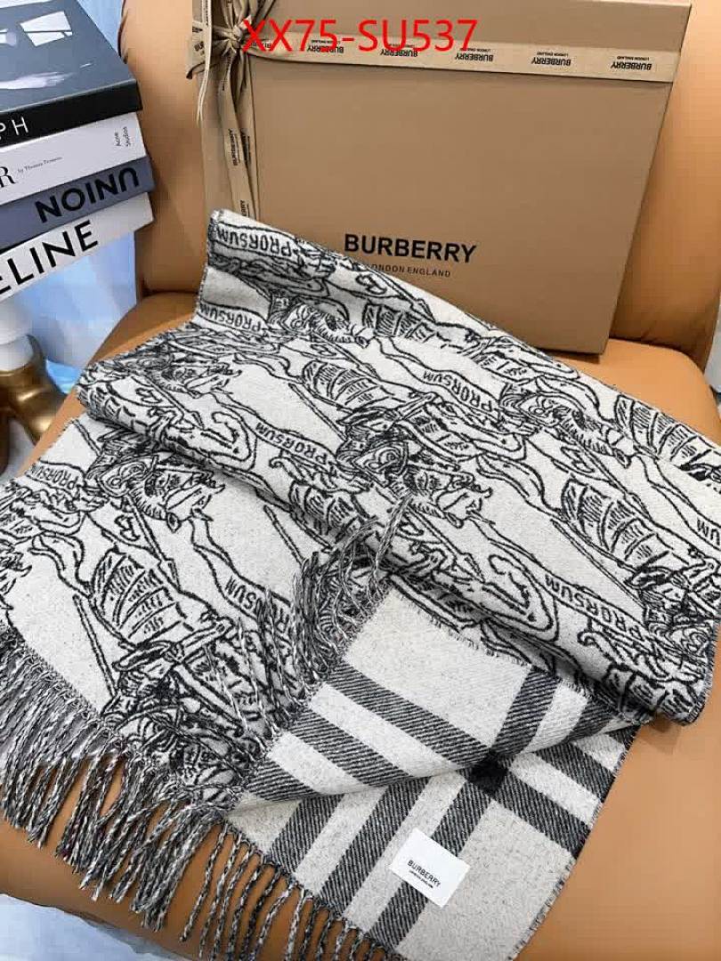 Scarf-Burberry ID: SU537 $: 75USD