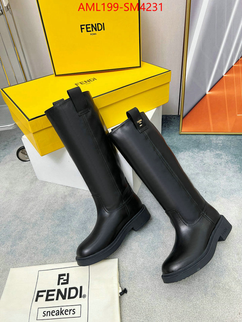 Women Shoes-Fendi ID: SM4231 $: 199USD