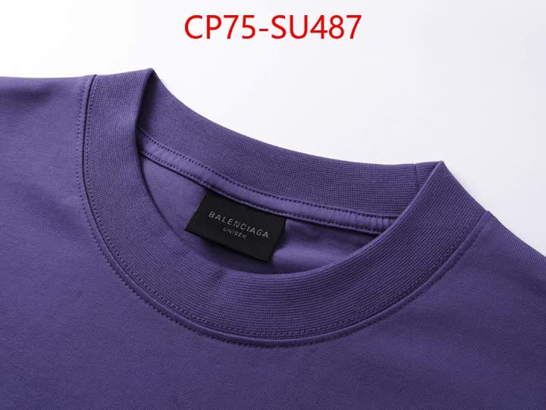 Clothing-Balenciaga ID: SU487 $: 75USD