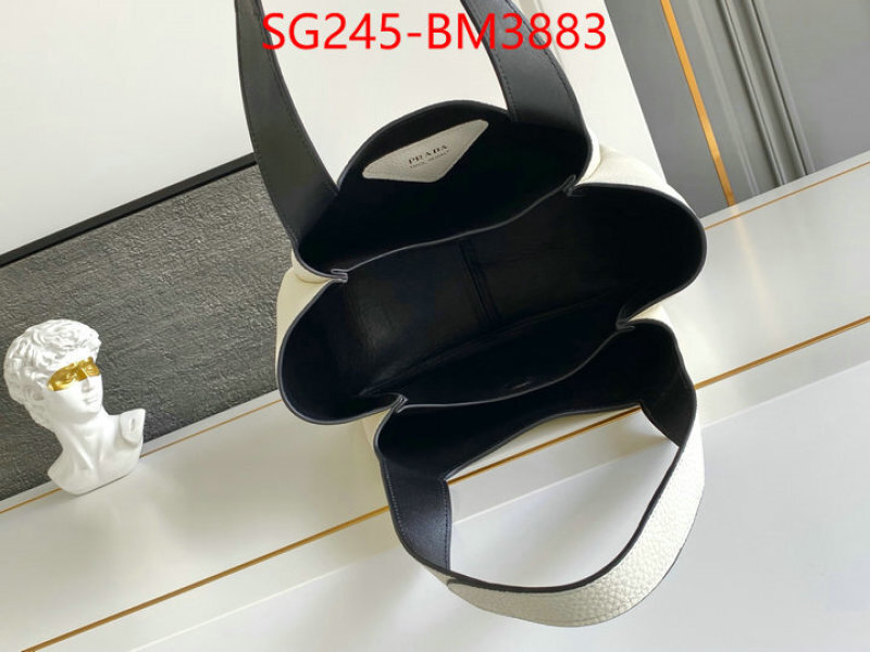 Prada Bags(TOP)-Handbag- ID: BM3883 $: 245USD,