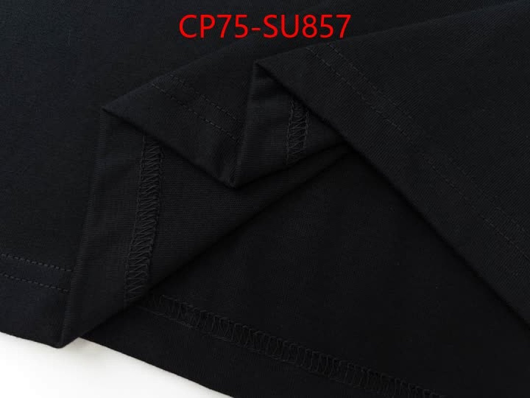 Clothing-Balenciaga ID: SU857 $: 75USD