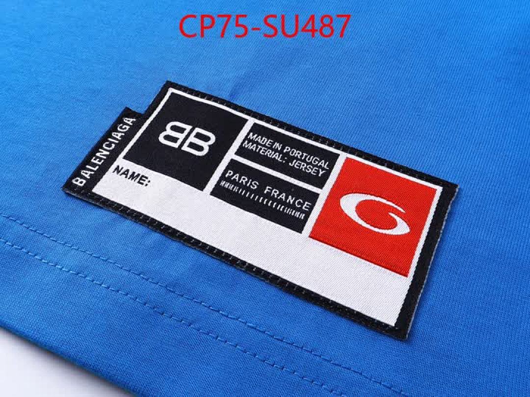 Clothing-Balenciaga ID: SU487 $: 75USD