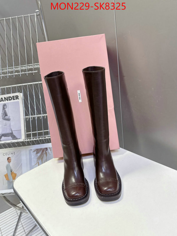 Women Shoes-Boots copy aaaaa ID: SK8325 $: 229USD