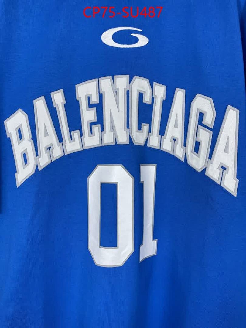 Clothing-Balenciaga ID: SU487 $: 75USD