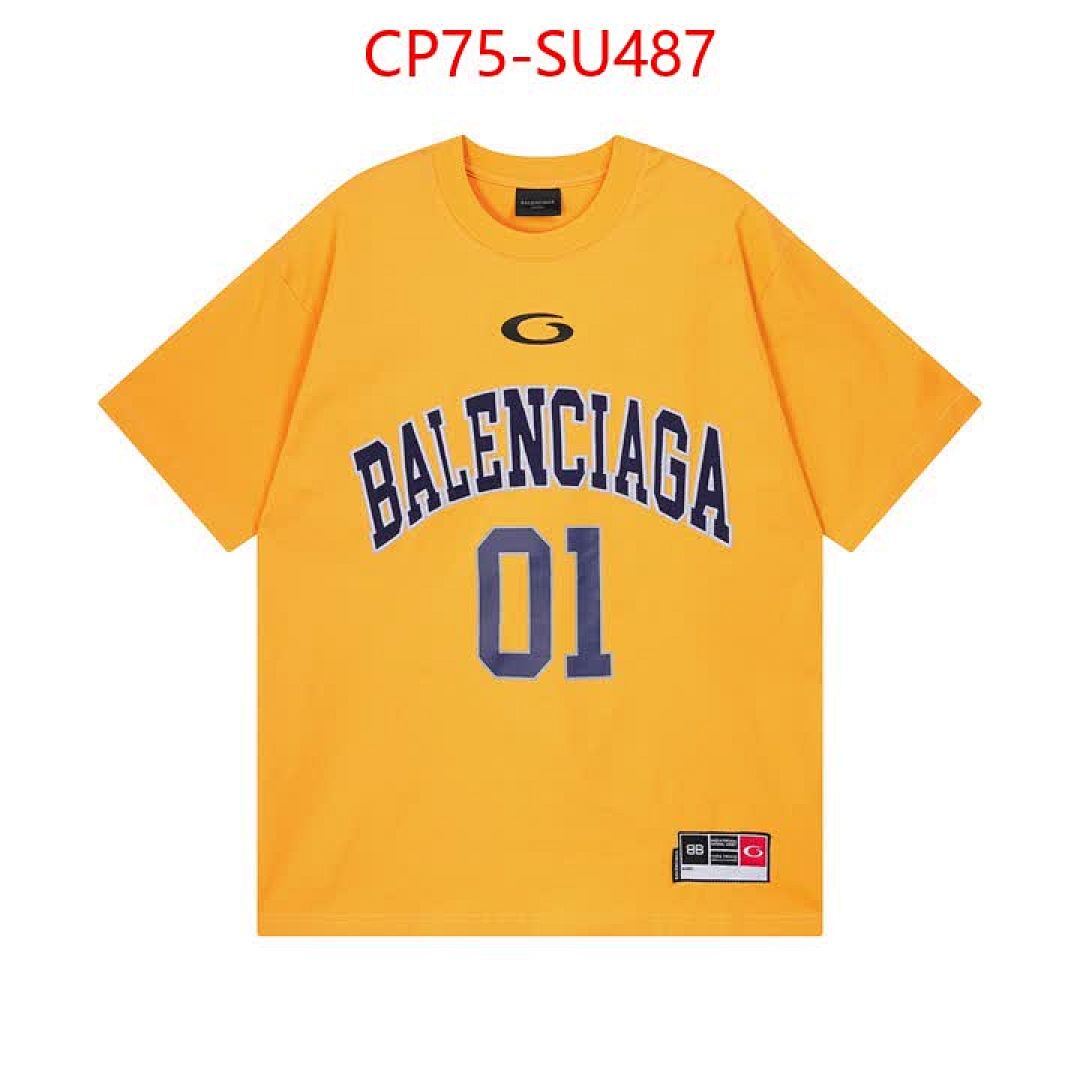 Clothing-Balenciaga ID: SU487 $: 75USD