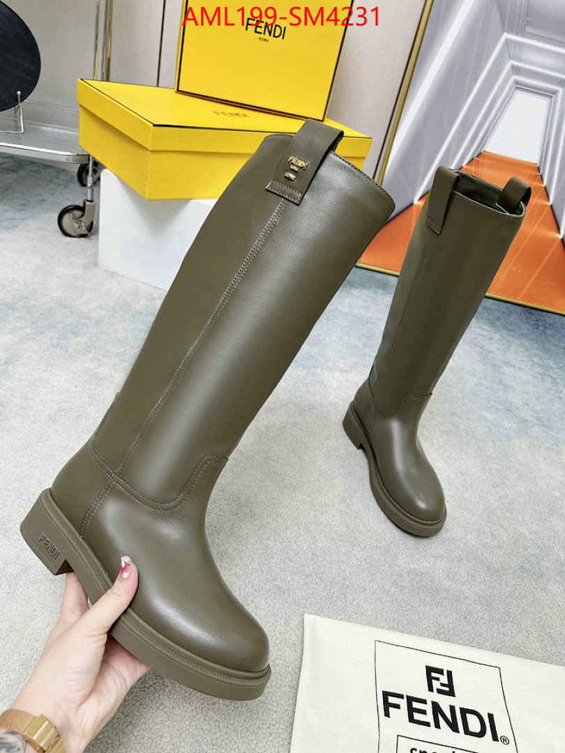 Women Shoes-Fendi ID: SM4231 $: 199USD