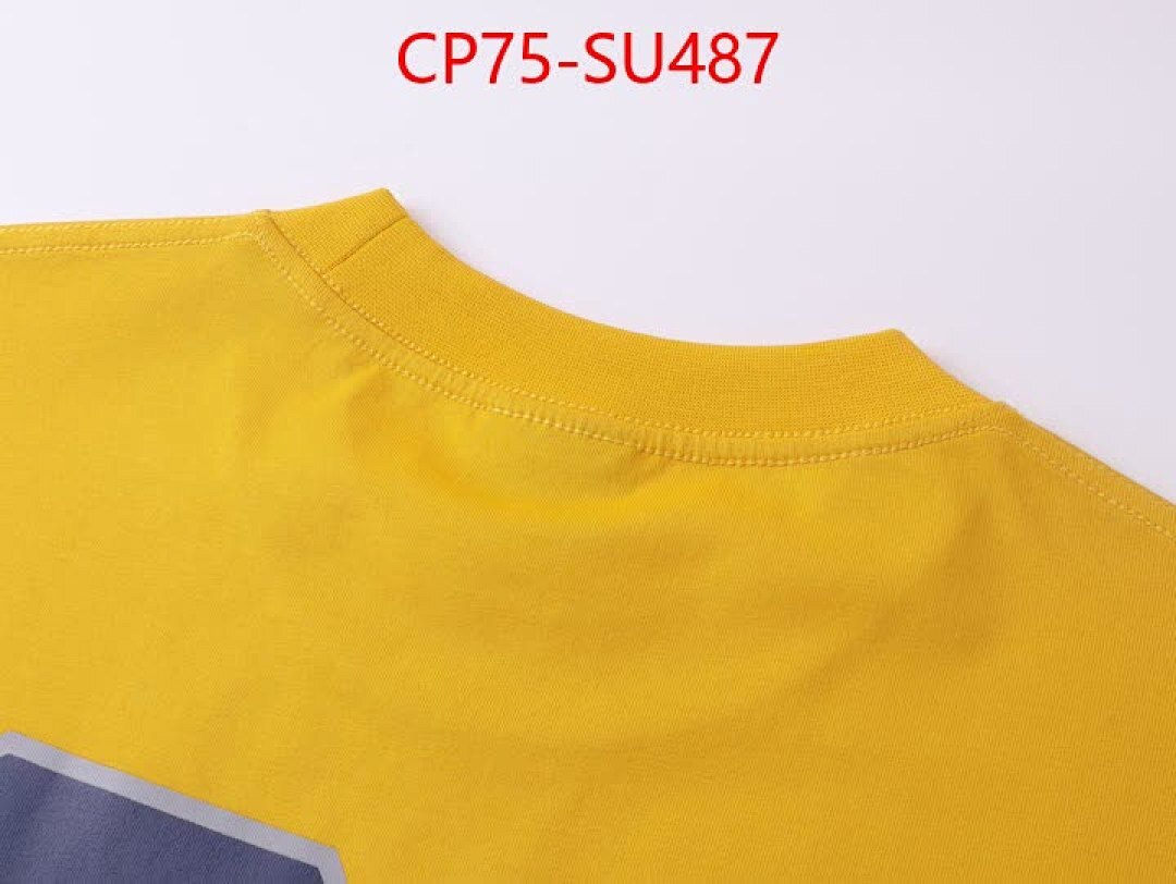 Clothing-Balenciaga ID: SU487 $: 75USD