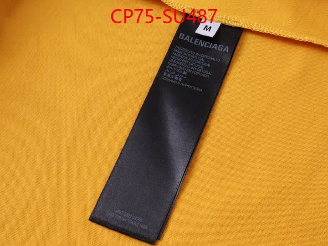 Clothing-Balenciaga ID: SU487 $: 75USD