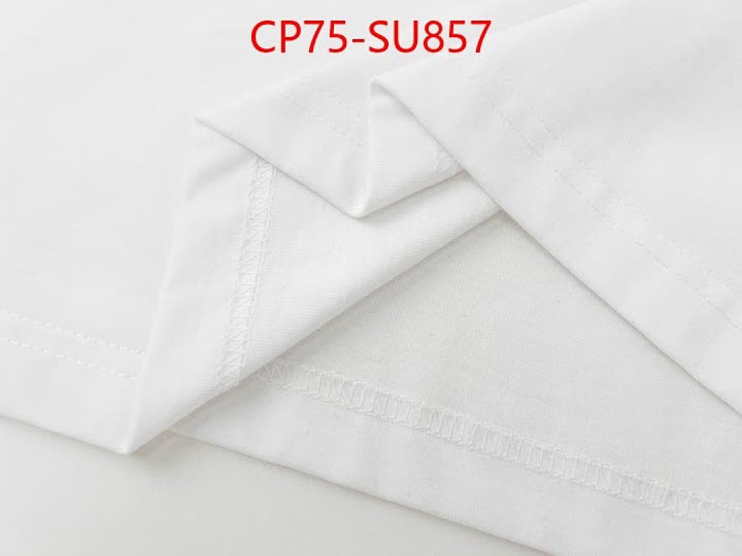 Clothing-Balenciaga ID: SU857 $: 75USD