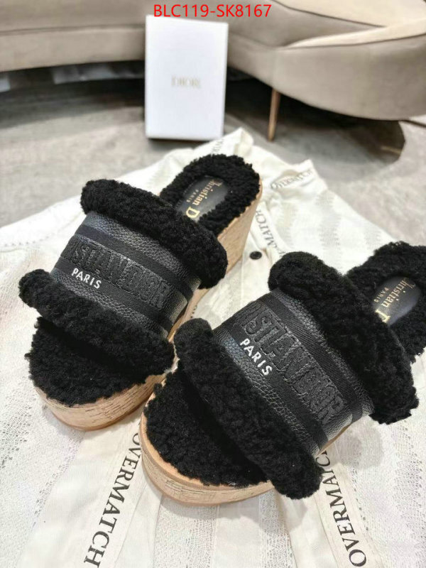 Women Shoes-Dior aaaaa quality replica ID: SK8167 $: 119USD