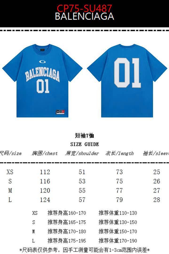 Clothing-Balenciaga ID: SU487 $: 75USD