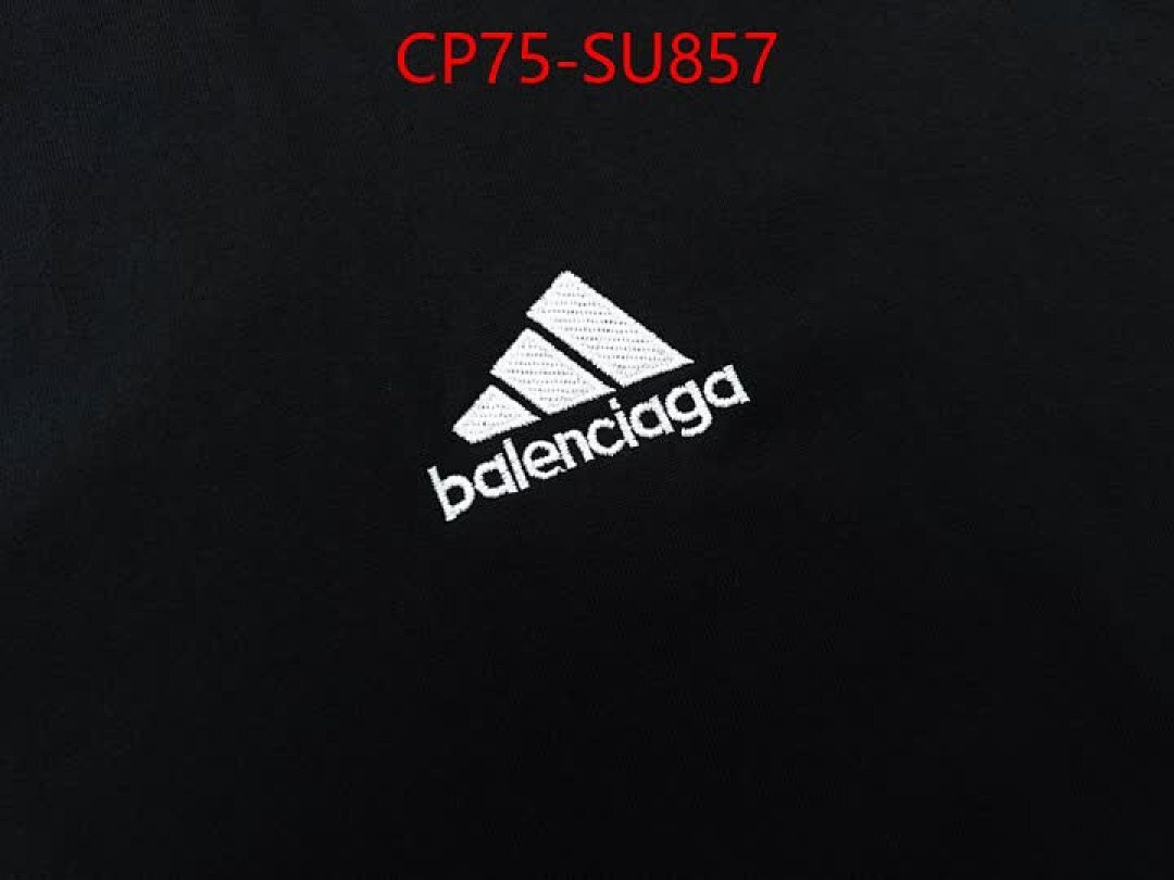 Clothing-Balenciaga ID: SU857 $: 75USD