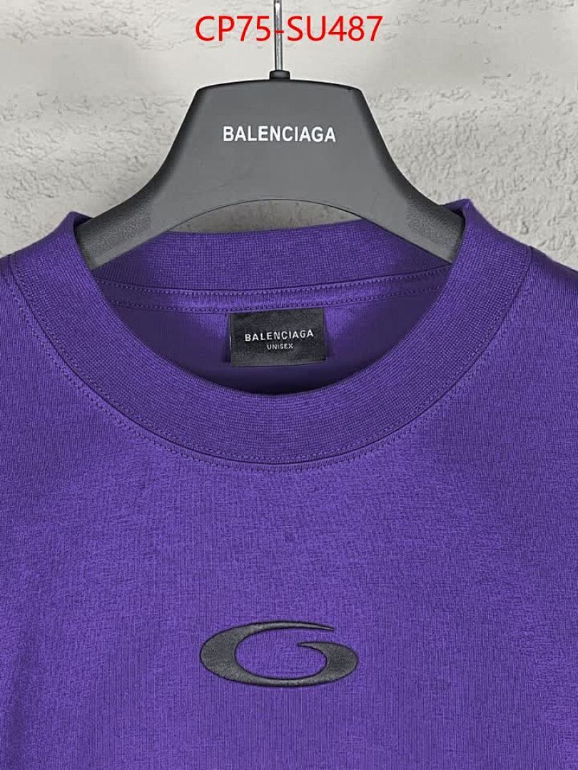 Clothing-Balenciaga ID: SU487 $: 75USD