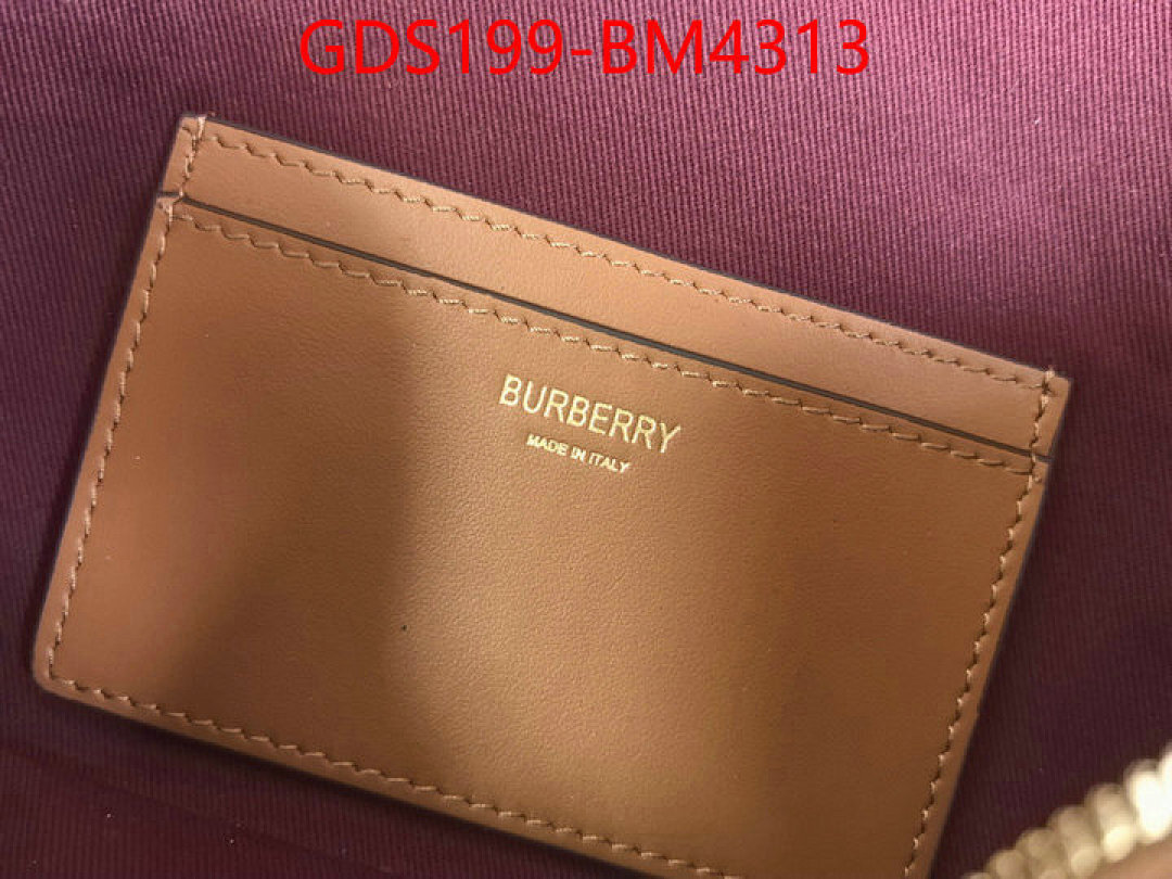 Burberry Bags(TOP)-Crossbody- ID: BM4313 $: 199USD,