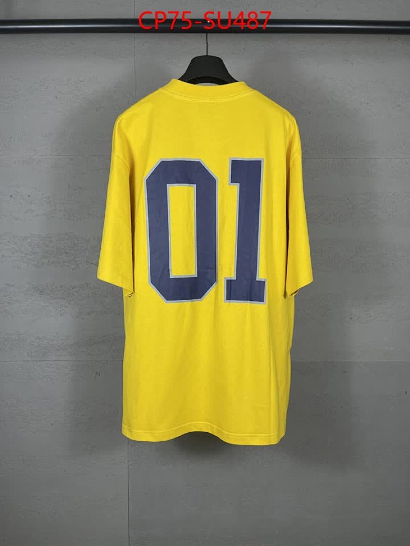 Clothing-Balenciaga ID: SU487 $: 75USD