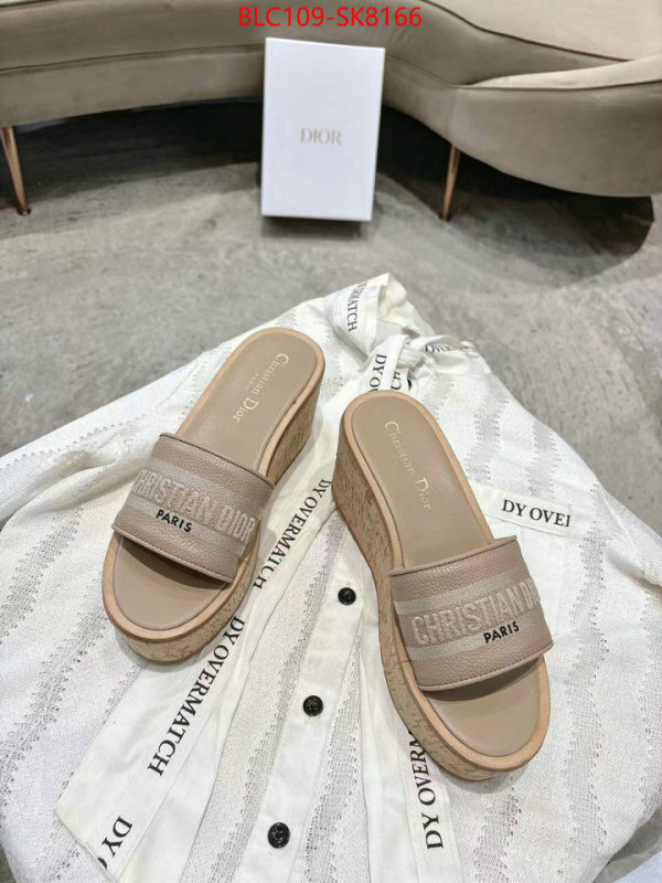 Women Shoes-Dior high-end designer ID: SK8166 $: 109USD
