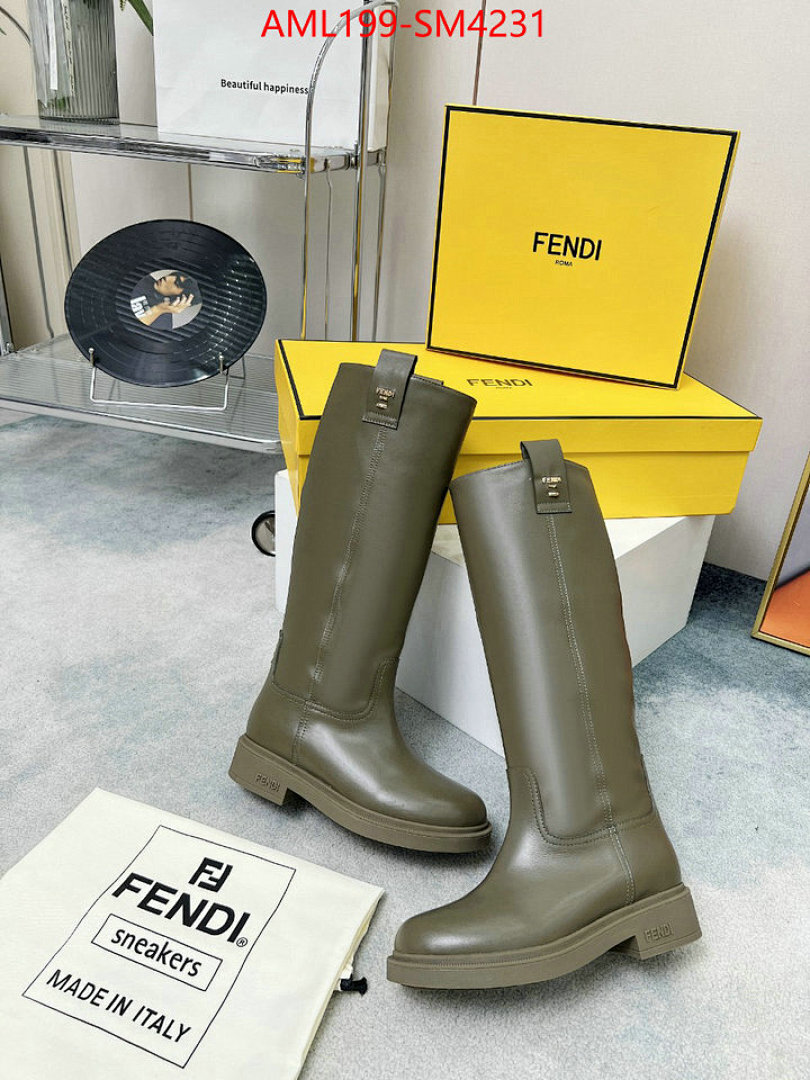 Women Shoes-Fendi ID: SM4231 $: 199USD
