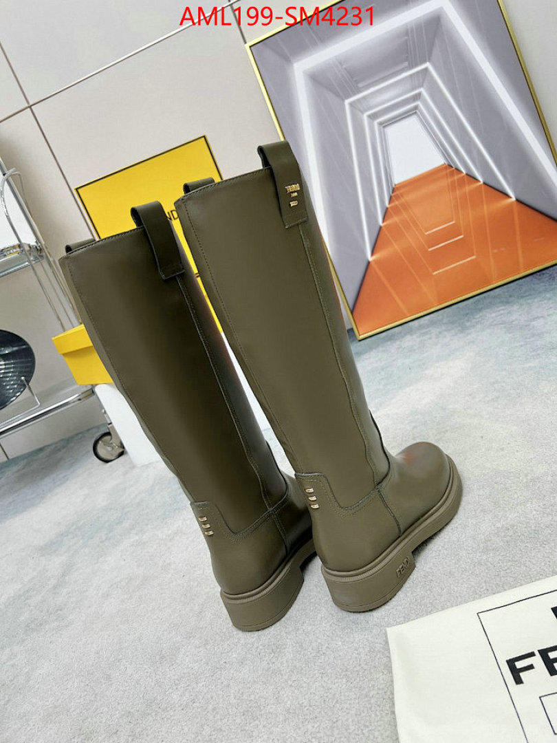 Women Shoes-Fendi ID: SM4231 $: 199USD