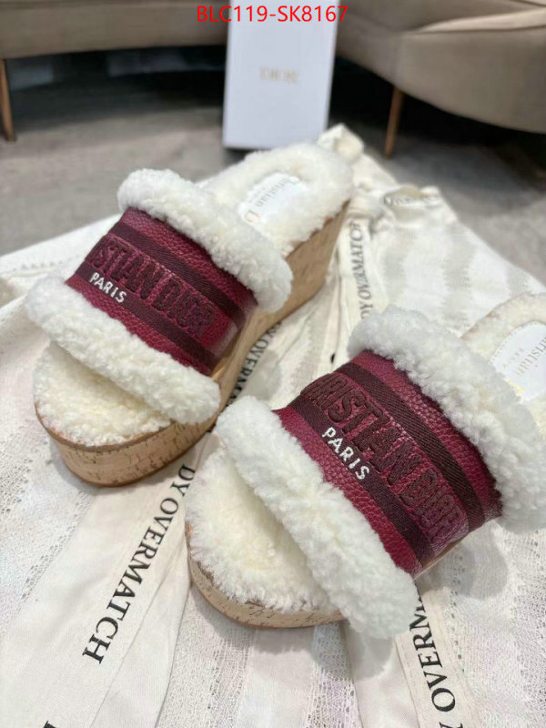 Women Shoes-Dior aaaaa quality replica ID: SK8167 $: 119USD