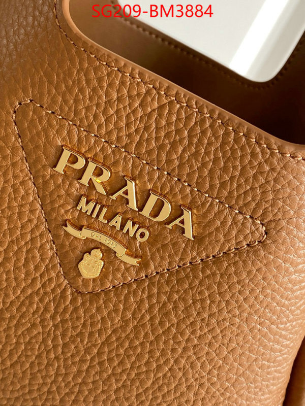 Prada Bags(TOP)-Handbag- ID: BM3884 $: 209USD,
