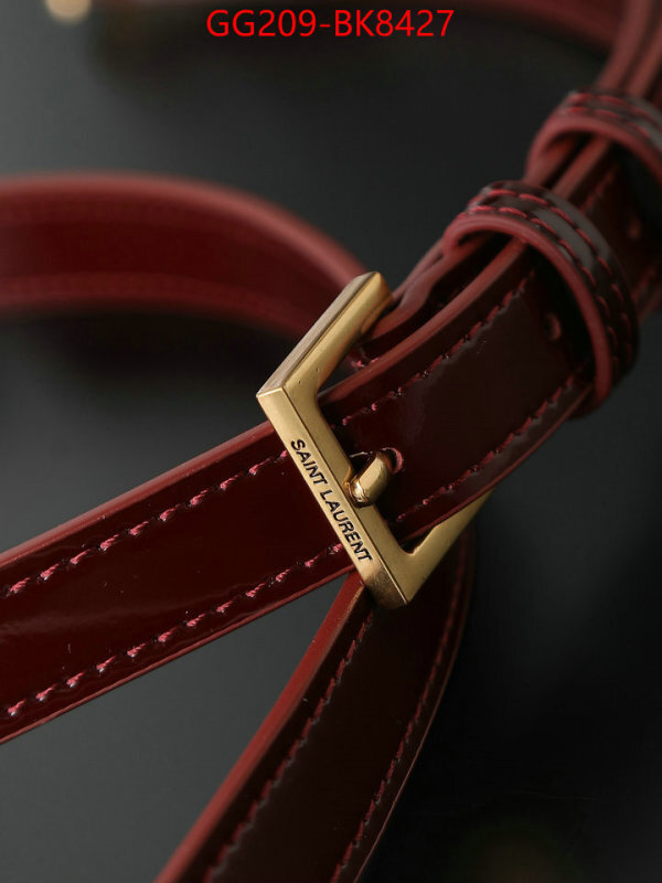 YSL Bags(TOP)-Bucket Bag ID: BK8427 $: 209USD,