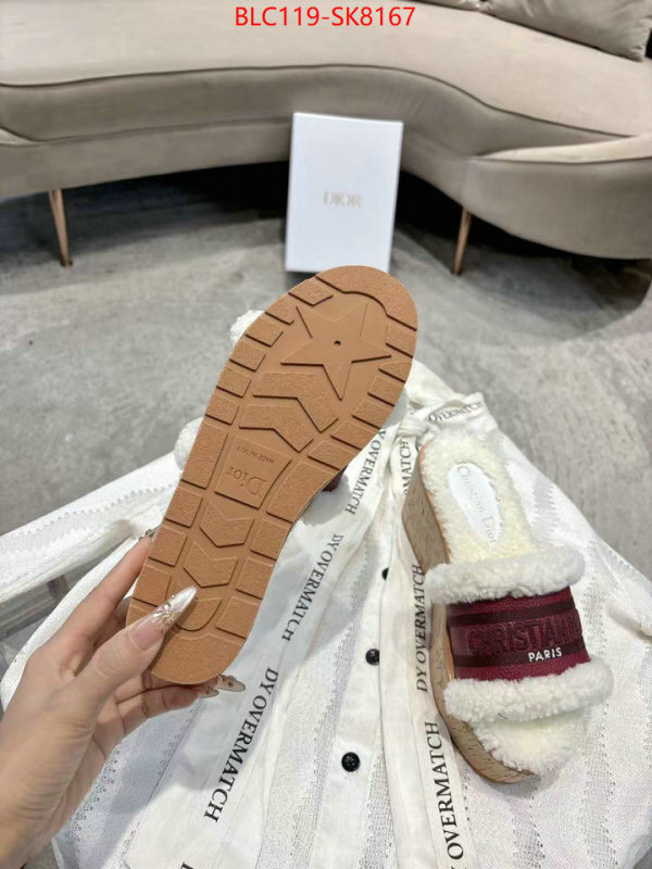 Women Shoes-Dior aaaaa quality replica ID: SK8167 $: 119USD