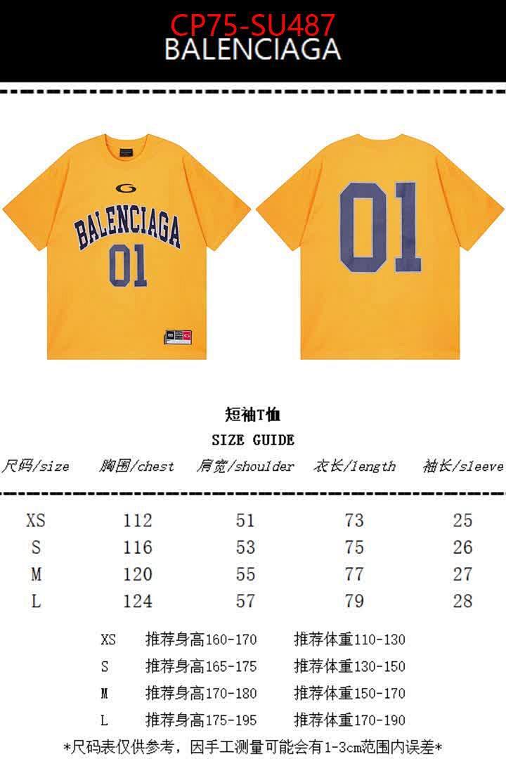 Clothing-Balenciaga ID: SU487 $: 75USD