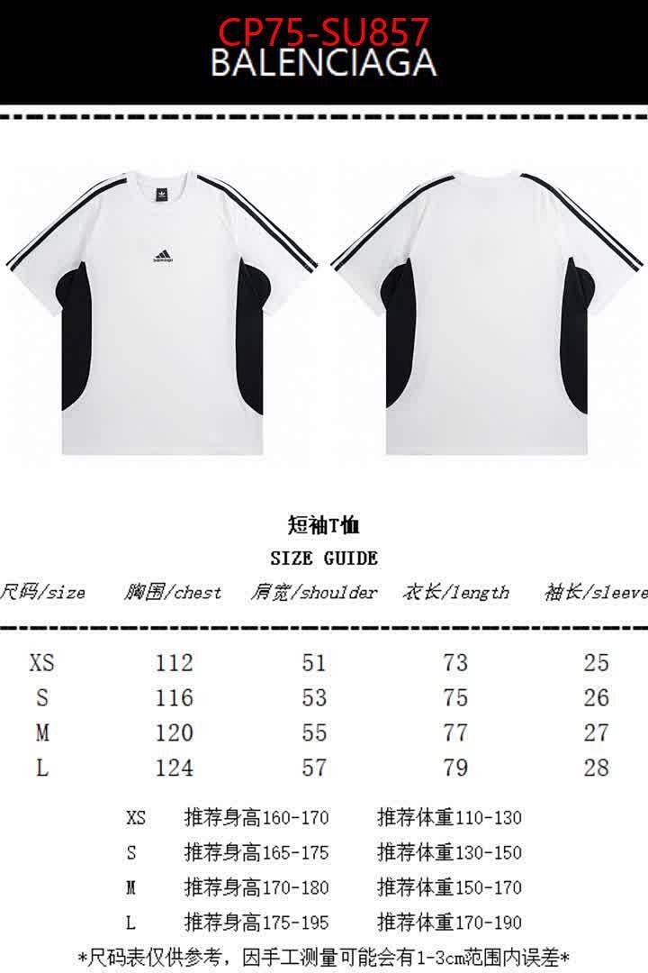 Clothing-Balenciaga ID: SU857 $: 75USD