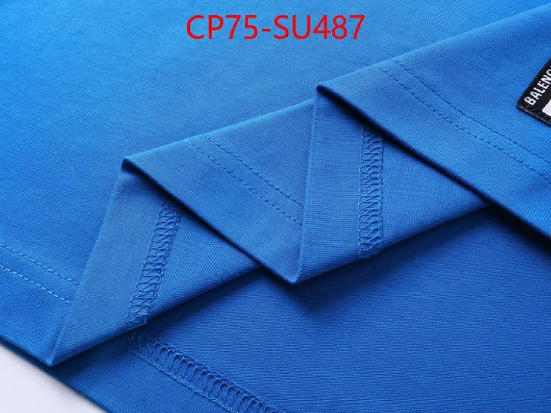 Clothing-Balenciaga ID: SU487 $: 75USD