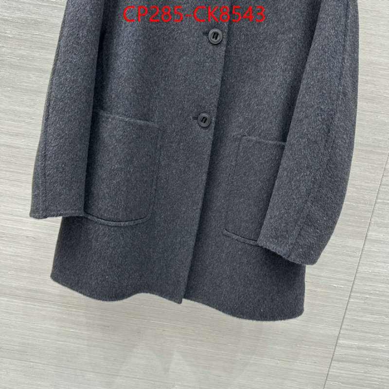 Down jacket Women-Loro Piana ID: CK8543 $: 285USD