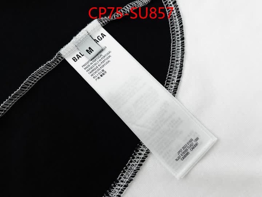Clothing-Balenciaga ID: SU857 $: 75USD