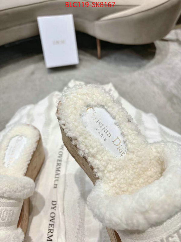 Women Shoes-Dior aaaaa quality replica ID: SK8167 $: 119USD