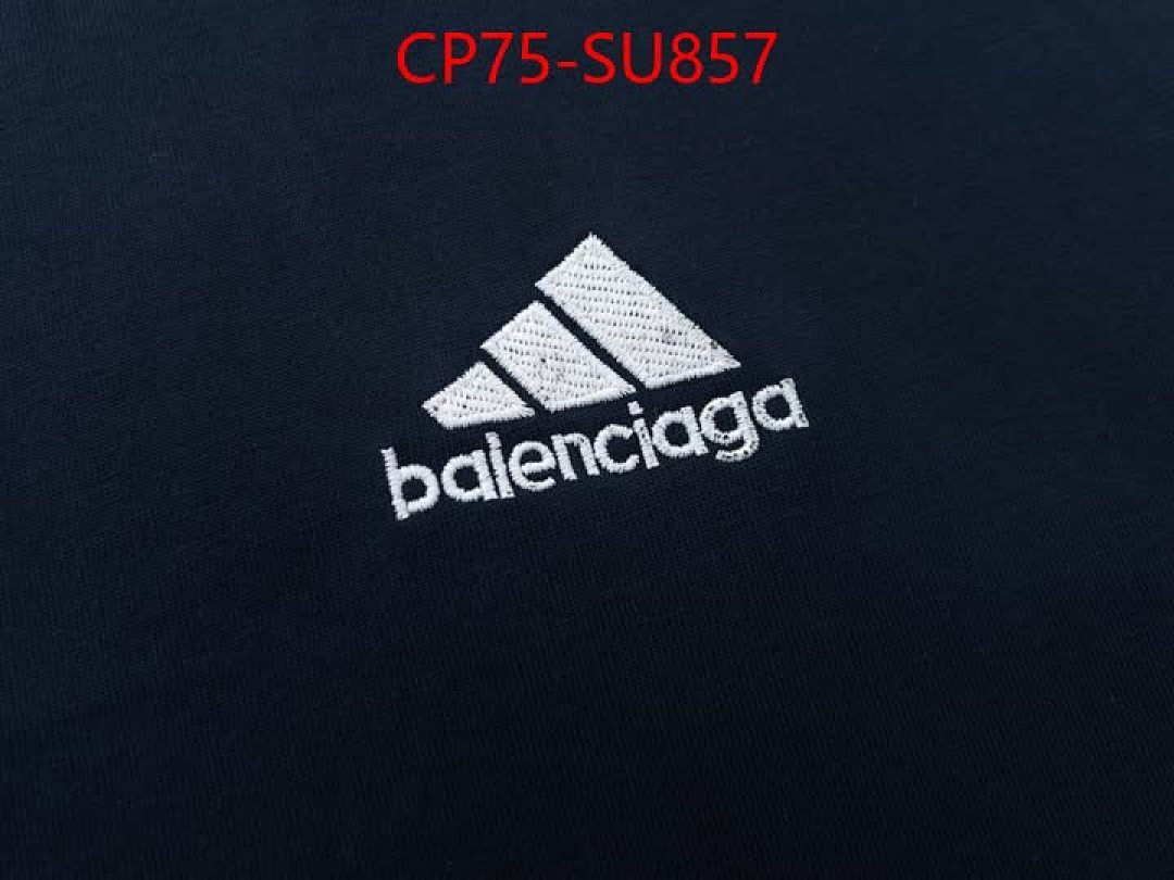 Clothing-Balenciaga ID: SU857 $: 75USD