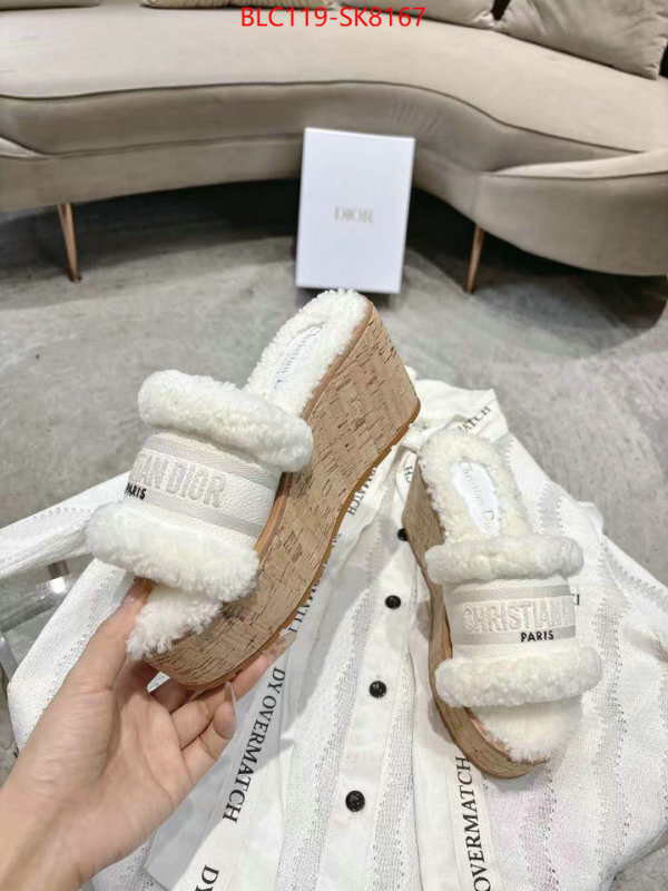 Women Shoes-Dior aaaaa quality replica ID: SK8167 $: 119USD