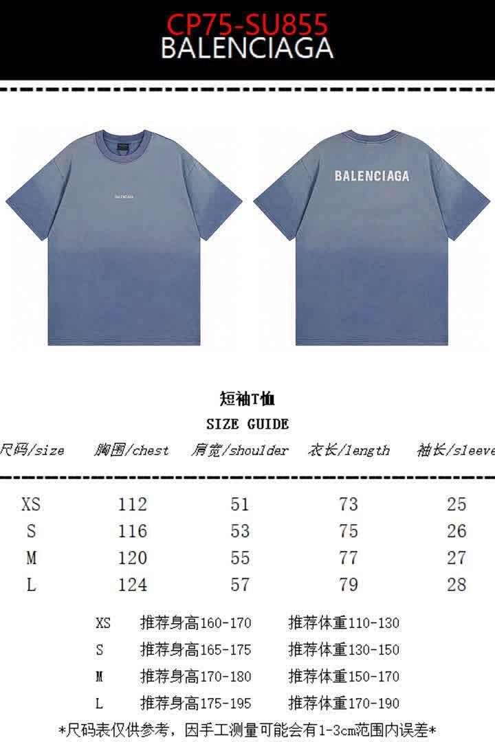 Clothing-Balenciaga ID: SU855 $: 75USD
