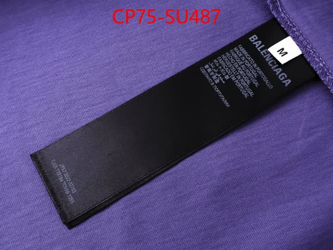 Clothing-Balenciaga ID: SU487 $: 75USD