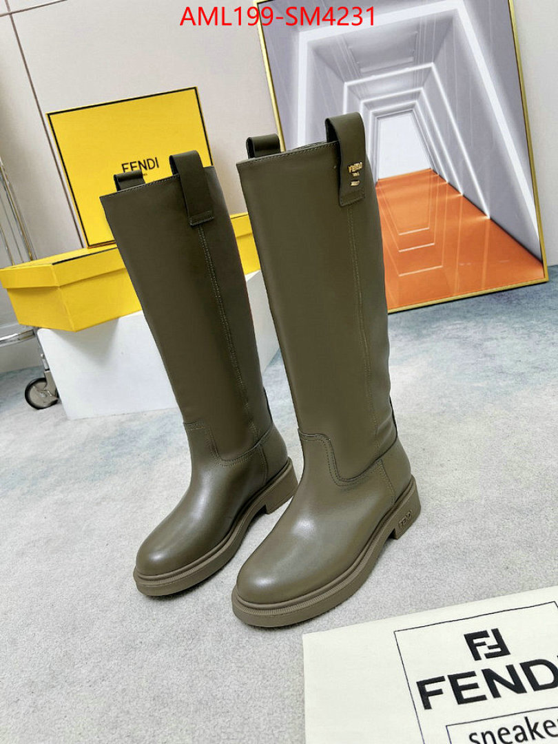 Women Shoes-Fendi ID: SM4231 $: 199USD