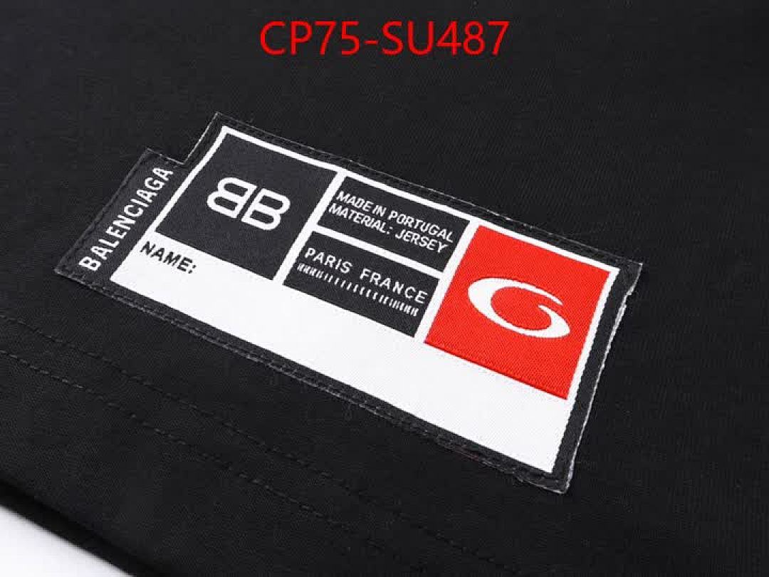 Clothing-Balenciaga ID: SU487 $: 75USD