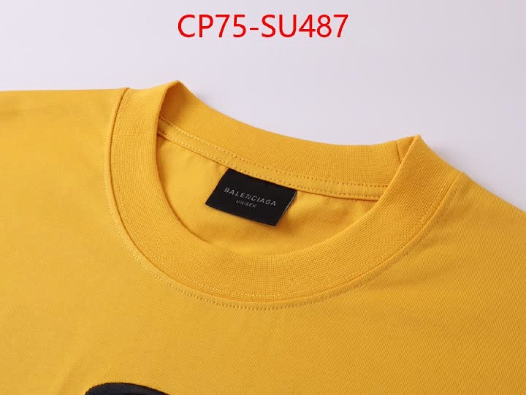 Clothing-Balenciaga ID: SU487 $: 75USD