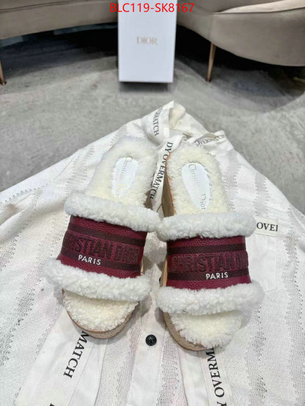 Women Shoes-Dior aaaaa quality replica ID: SK8167 $: 119USD