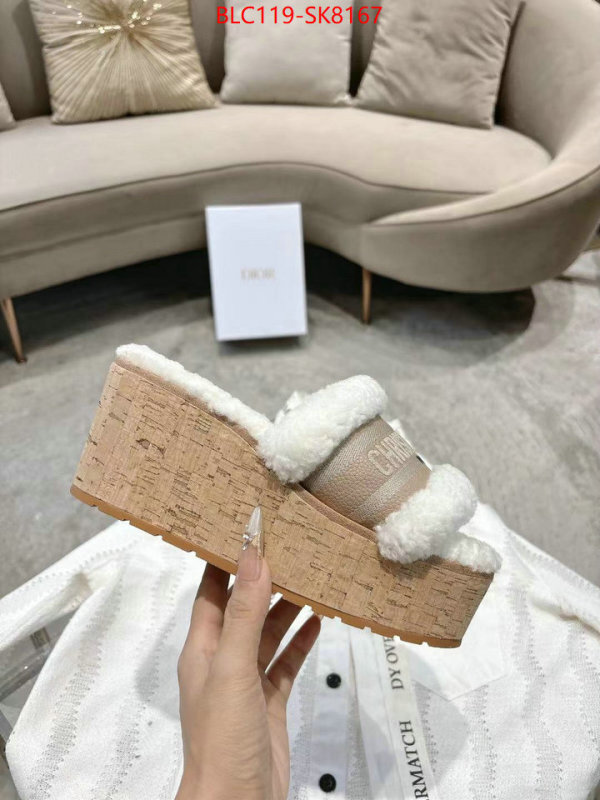 Women Shoes-Dior aaaaa quality replica ID: SK8167 $: 119USD