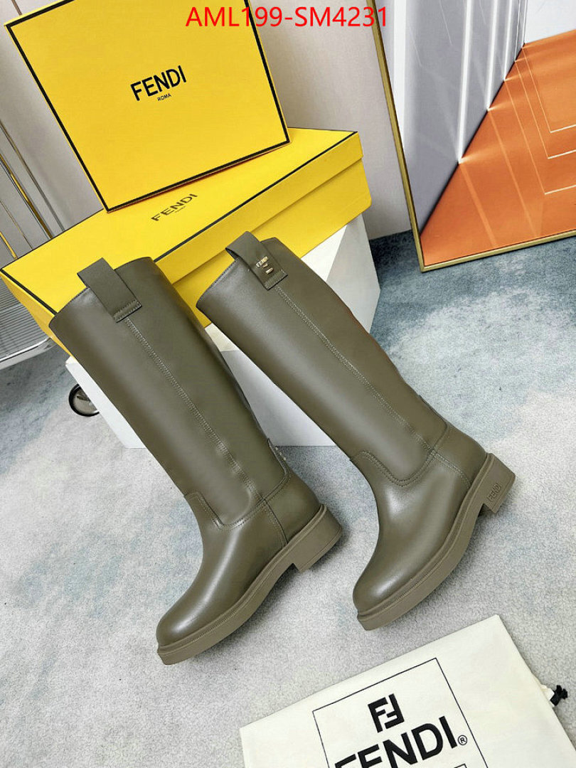 Women Shoes-Fendi ID: SM4231 $: 199USD