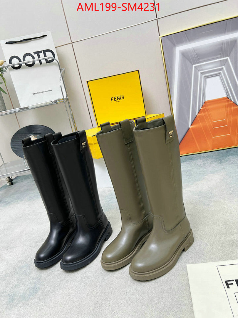 Women Shoes-Fendi ID: SM4231 $: 199USD