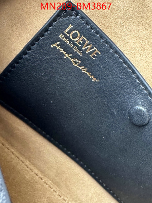 Loewe Bags(TOP)-Handbag- ID: BM3867 $: 289USD,