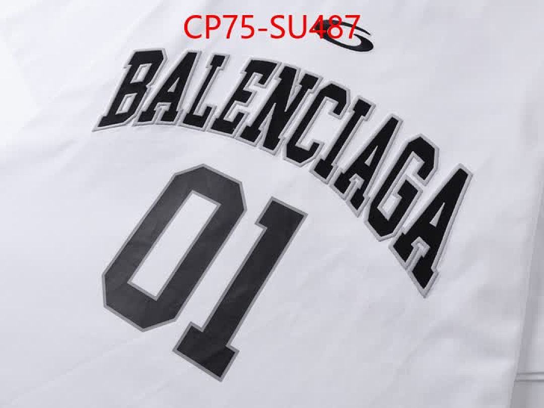 Clothing-Balenciaga ID: SU487 $: 75USD